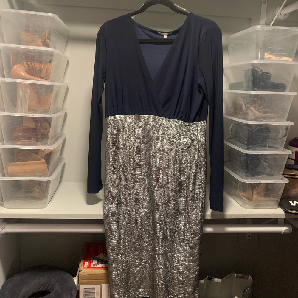 Navy Blue / Silver Dress